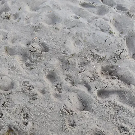 Sunset Апартаменты